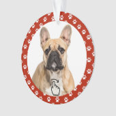 SCHWEIZ RECHTS - Siehe Zurück ... Ornament (Vorderseite)