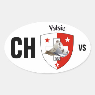 Schweiz Suisse Svizzera Svizra Switzerland Kleber Ovaler Aufkleber