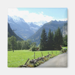 Schweizer Alpen Magnet