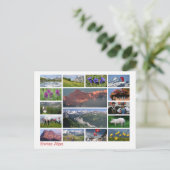 Schweizer Alpen mit mehreren Bildern Postkarte (Stehend Vorderseite)