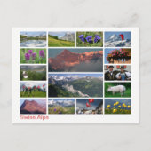 Schweizer Alpen mit mehreren Bildern Postkarte (Vorderseite)