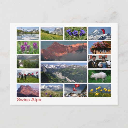 Schweizer Alpen mit mehreren Bildern Postkarte (Vorderseite)