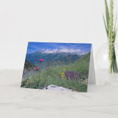 Schweizer Alpenkarte Karte (Rückseite)
