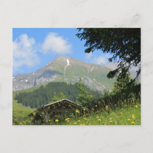 Schweizer Berge Postkarte (Vorderseite)