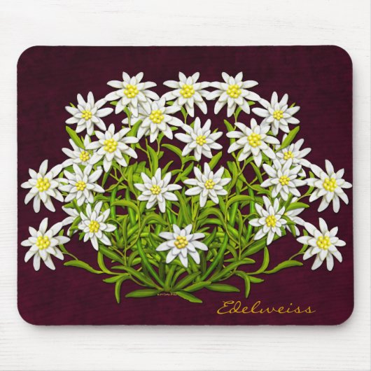 Schweizer BergEdelweiss Blumen Mousepad (Vorne)