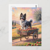 Schweizer Berghund stehend in Apfelkarren Postkarte (Vorne/Hinten)