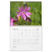 Schweizer Blumenkalender des schaukasten-2008 Kalender (Feb 2027)