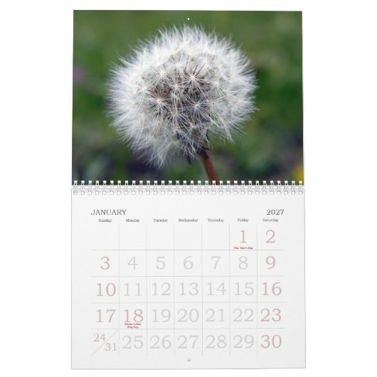 Schweizer Blumenkalender des schaukasten-2008 Kalender (Jan 2027)