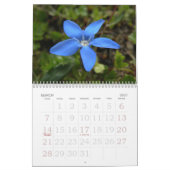 Schweizer Blumenkalender des schaukasten-2008 Kalender (Mär 2027)