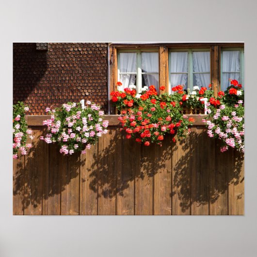 Schweizer Blumenkasten Poster (Vorne)