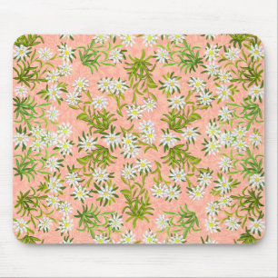 Schweizer Edelweiss alpine Blumen Mousepad