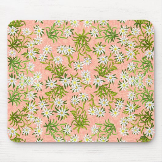 Schweizer Edelweiss alpine Blumen Mousepad (Vorne)