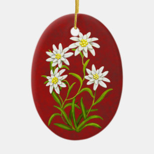 Schweizer Edelweiss alpine Blumen-Verzierung Keramikornament
