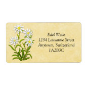 Schweizer Edelweiss-Blume - individualisierbares E (Vorne)