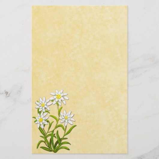Schweizer Edelweiss Blumen-Briefpapier Briefpapier (Vorderseite)