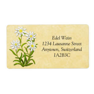 Schweizer Edelweiss Blumen-kundengerechter