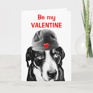 Schweizer Gebirgshund Feiertagskarte