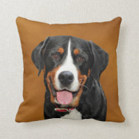 Schweizer Gebirgshund