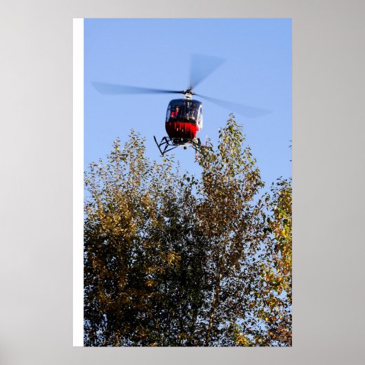 Schweizer kommen ins Land Poster (Vorne)