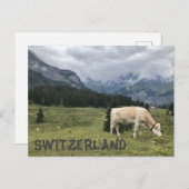 Schweizer Kühe sind glückliche Kühe Postkarte (Vorne/Hinten)