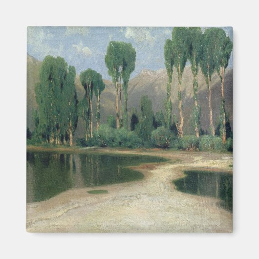 Schweizer Landschaft Magnet (Vorne)