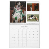 Schweizer lecken Swissies (und Freunde) Kalender (Mär 2027)