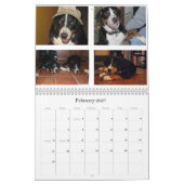 Schweizer lecken Swissies (und Freunde) Kalender (Feb 2027)