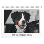 Schweizer lecken Swissies (und Freunde) Kalender (Titelbild)