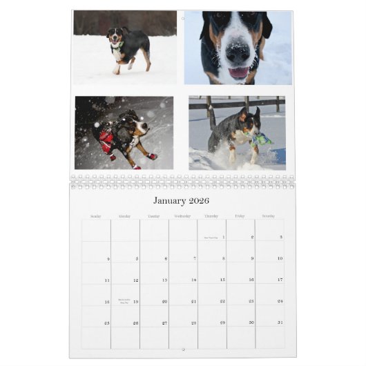 Schweizer lecken Swissies (und Freunde) Kalender (Jan 2026)