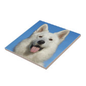 Schweizer Schäferhund Fliese (Seite)