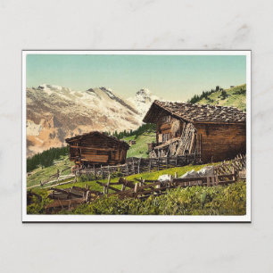 Schweizer Wohnhaus, Murren, Berner Oberland, Schwe Postkarte