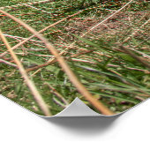 Schweizerische Kühe Poster (Ecke)