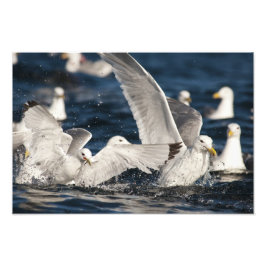 Schwellenländer Fotodruck