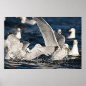 Schwellenländer Poster (Vorne)