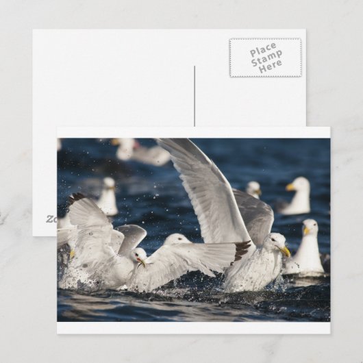 Schwellenländer Postkarte (Vorne/Hinten)