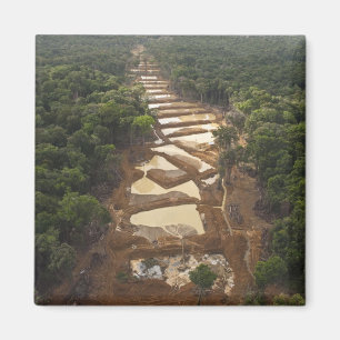 Schwemmgoldabbau. Regenwald, Guyana. Magnet