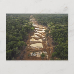 Schwemmgoldabbau. Regenwald, Guyana. Postkarte