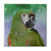 Schweres Macaw-Parrot-Tier