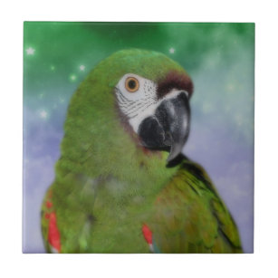 Schweres Macaw-Parrot-Tier Fliese