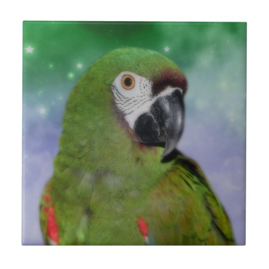 Schweres Macaw-Parrot-Tier Fliese (Vorderseite)