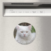 Schweres Weiße Katze Magnet (In Situ (Geschirrspüler))