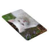 Schweres Weiße Katze Magnet (Rechte Seite)