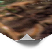 Schweres Weiße Katze Poster (Ecke)