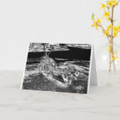 Schwermetall Karte (Gelbe Blume)