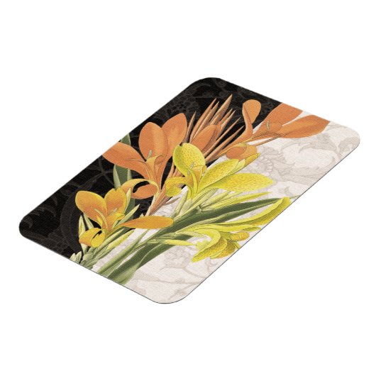 Schwerpunkt I Magnet (Linke Seite)