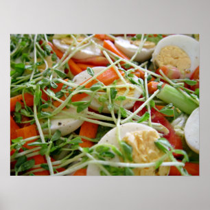 Schwerpunkt Salat Poster