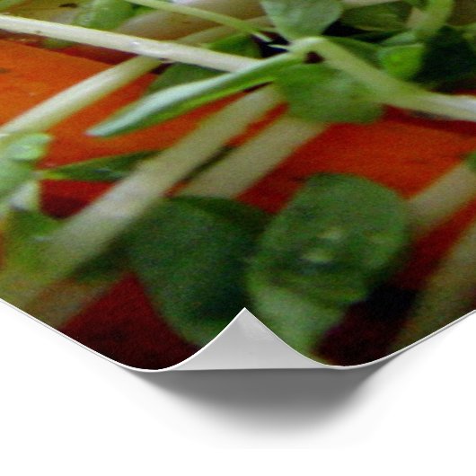 Schwerpunkt Salat Poster (Ecke)