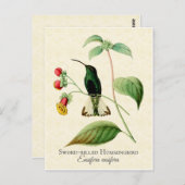 Schwert Billing Hummingbird Vintag Art Postkarte (Vorne/Hinten)