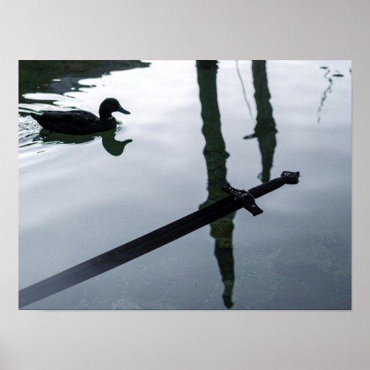 Schwert im Wasser mit Ente Poster (Vorne)