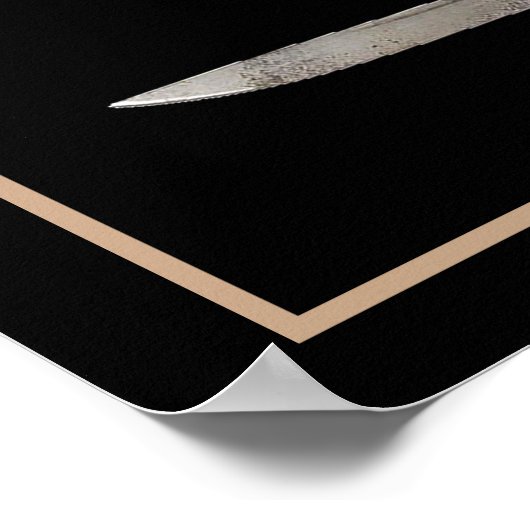 Schwerter der Dresdner Fans Poster (Ecke)